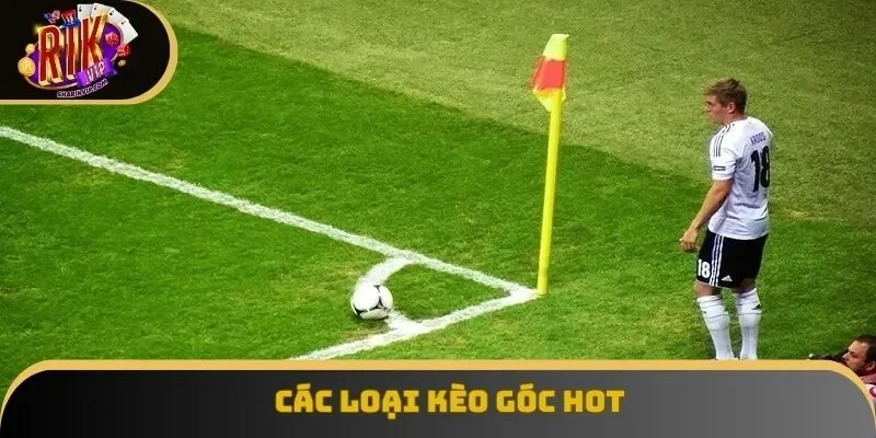 Sức hút của handicap chưa bao giờ là giảm