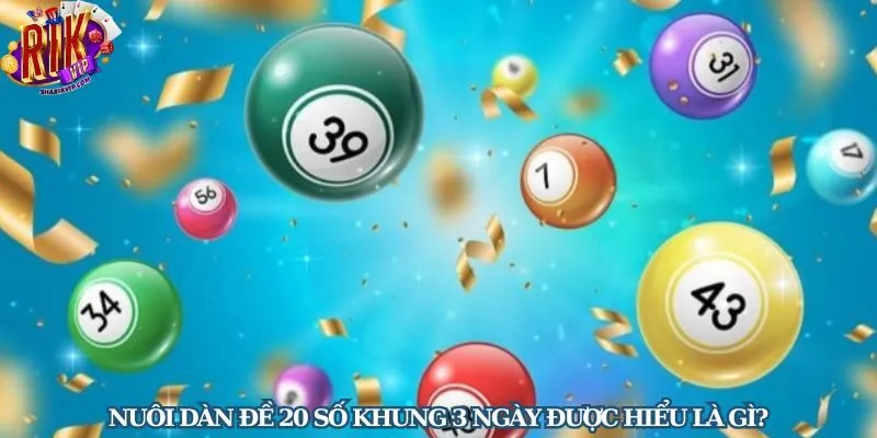 Tìm hiểu thông tin nuôi dàn đề 20 số khung 3 ngày