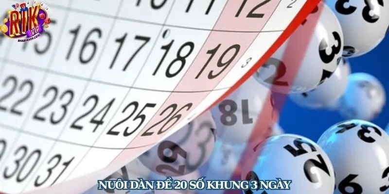 nuôi dàn đề 20 số khung 3 ngày